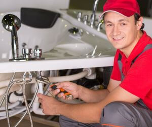About Plumbers Pros Sturdivant, MO